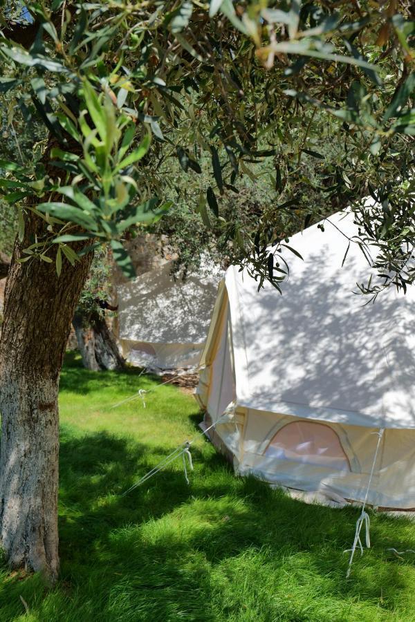 Vila Panorama Piqeras Bed & Breakfast エクステリア 写真