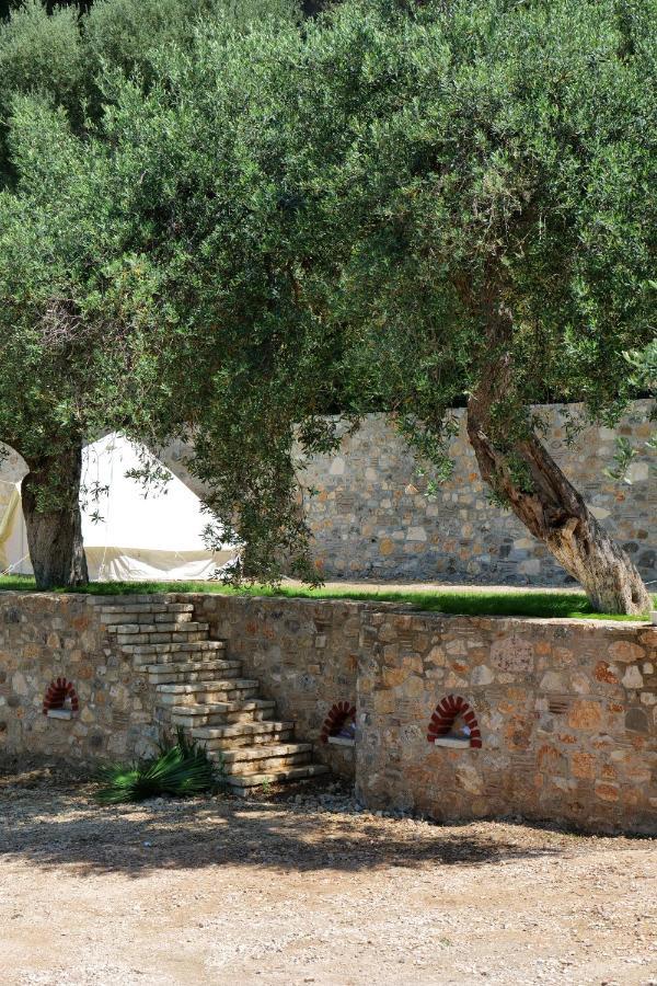 Vila Panorama Piqeras Bed & Breakfast エクステリア 写真